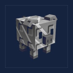 Silver Piggy