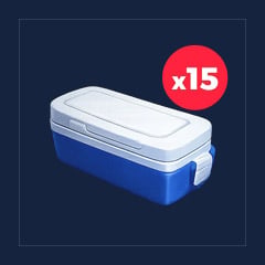Summer Skin Case [x15]