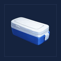 Summer Skin Case