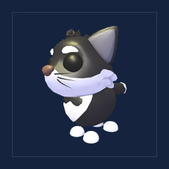 Tuxedo Cat
