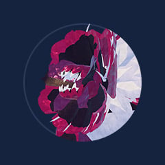 Vielheart