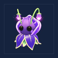 Violet Friend