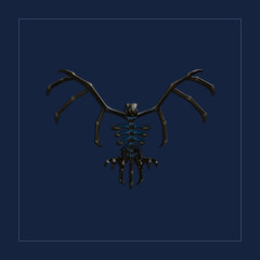 Skelly