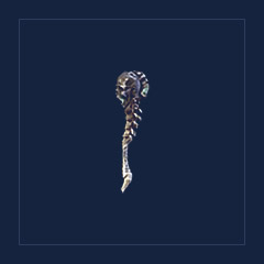 Gavel of Ravenous Souls